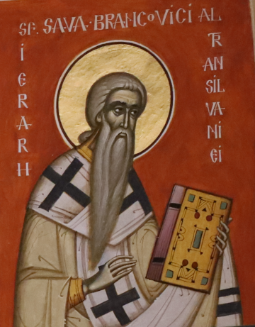 Sf. Ierarh Sava Brancovici, mitropoliul Transilvaniei