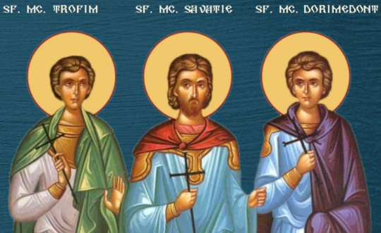 Sf. Mc. Trofim, Savatie și Dorimedont